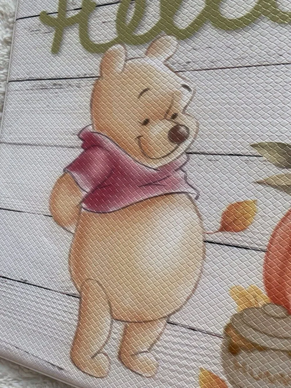 Disney winnie pooh